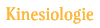 Kinesiologie