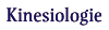 Kinesiologie
